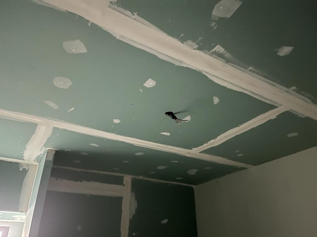 STB EXPERIENCE plâtrerie 1